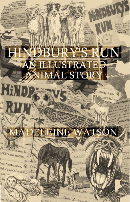 Hindbury’s Run: An Illustrated Animal Story
