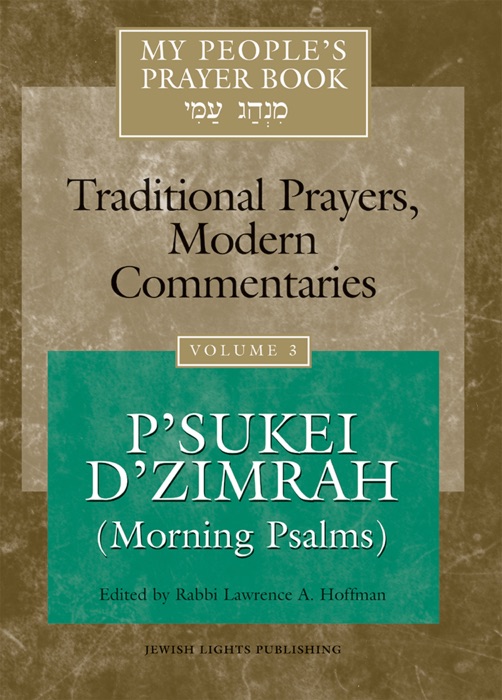 My People's Prayer Book Volume 3