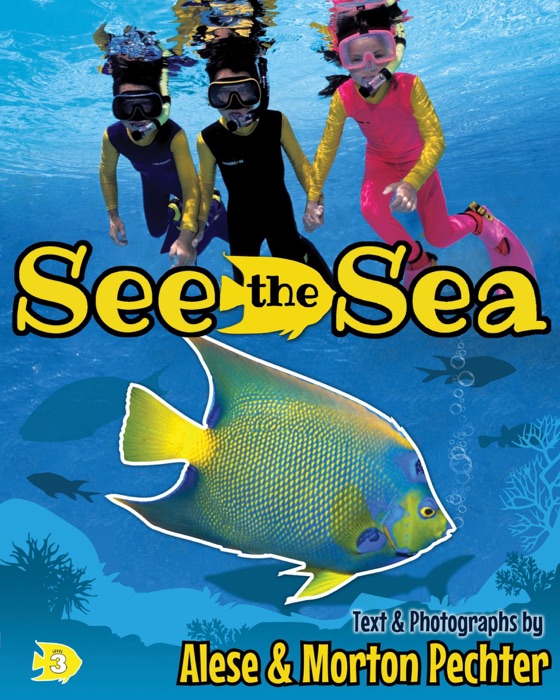 See the Sea