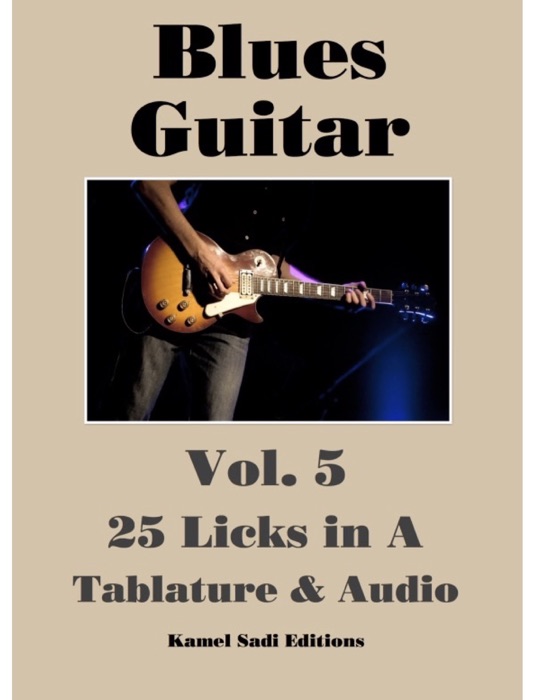 Blues Guitar Vol. 5