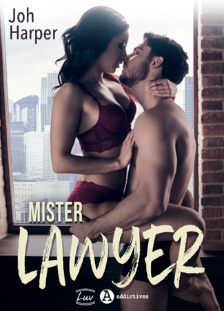 Mister Lawyer - Joh Harper