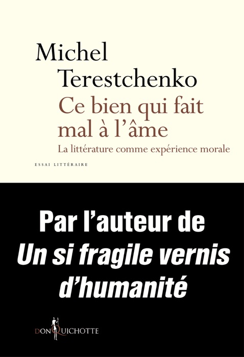 Ce bien qui fait mal à l'âme. La Littérature comme expérience morale