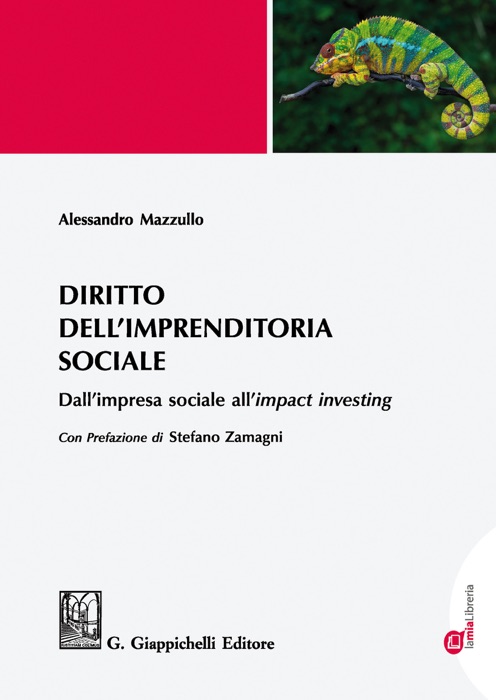 Diritto dell'imprenditoria sociale