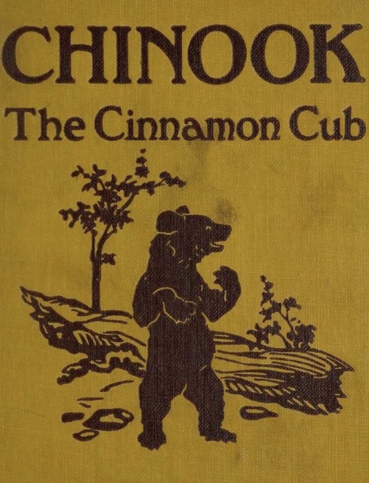 Chinook, the Cinnamon Cub