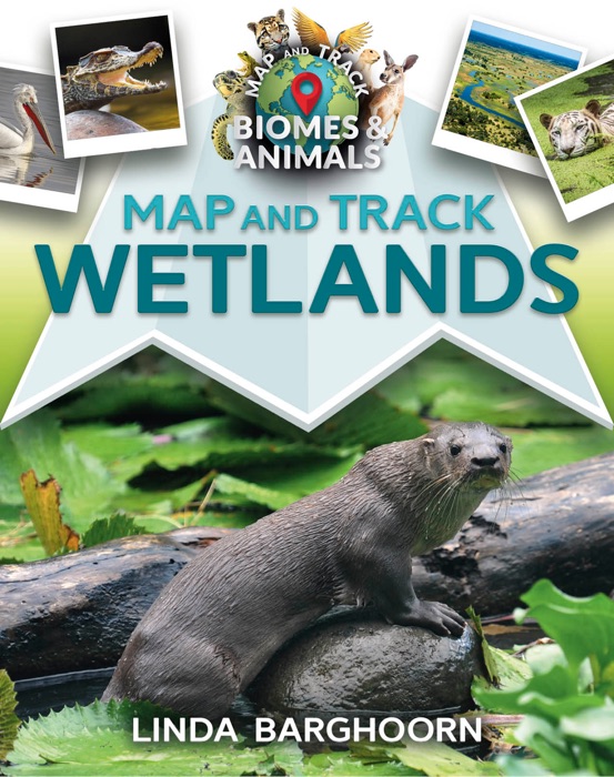 Map and Track Wetlands