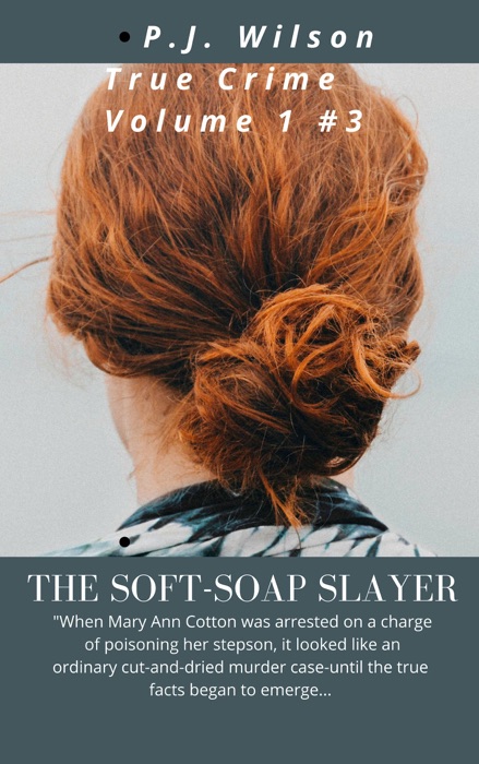 Soft-soap Slayer a true crime story