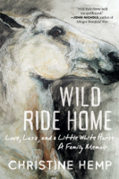 Christine Hemp - Wild Ride Home artwork