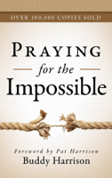 Buddy Harrison - Praying for the Impossible artwork