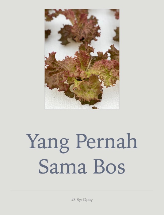 Yang Pernah Sama Bos