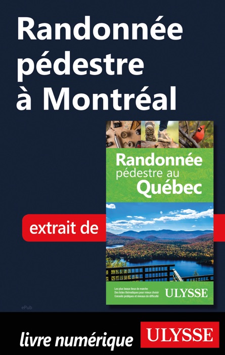 Randonnée pédestre à Montréal