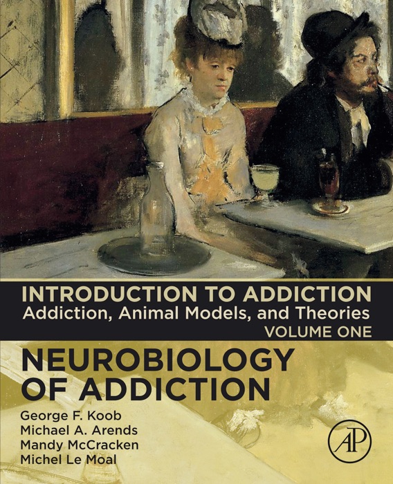 Introduction to Addiction (Enhanced Edition)