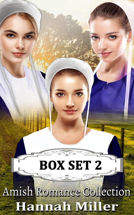 Amish Romance Collection Box Set 2