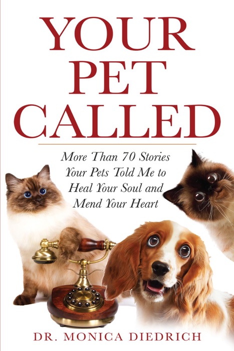 Your Pet Called