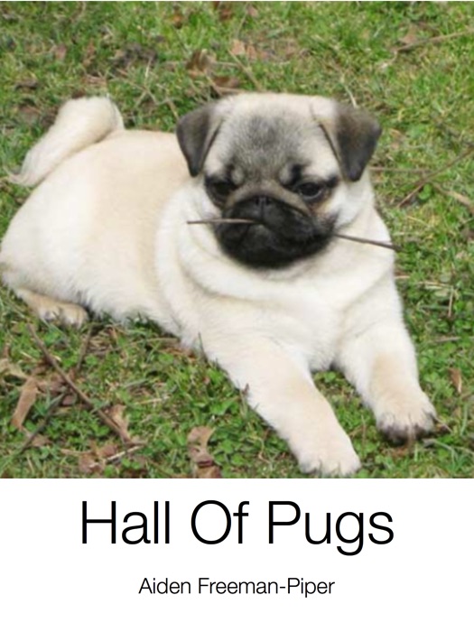 Hall Of Pugs