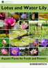 Lotus and Water Lily: Aquatic Plants for Foods and Flowers - AGRIHORTICO