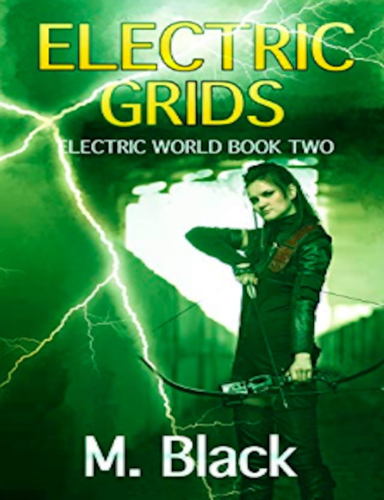 Electric Grids ( Electric world Book Two)