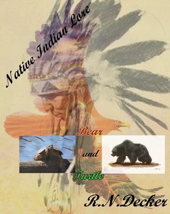 Bear and Turtle