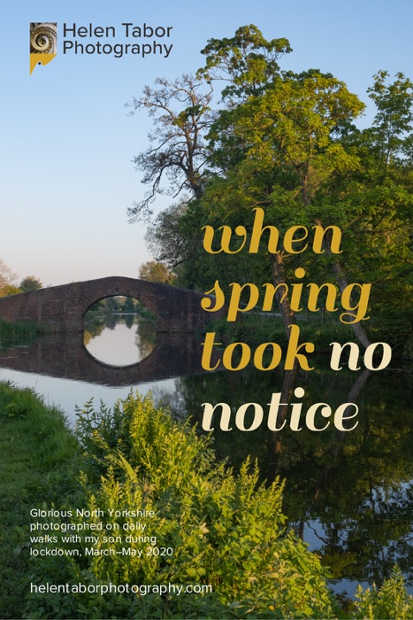When spring took no notice