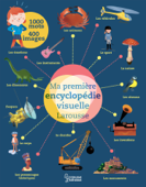 Ma première encyclopédie visuelle Larousse - Virginie Aladjidi, Caroline Pellissier & Olivier Latyk