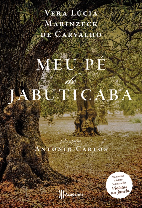 Meu pé de jabuticaba