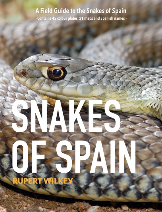 SNAKES OF SPAIN