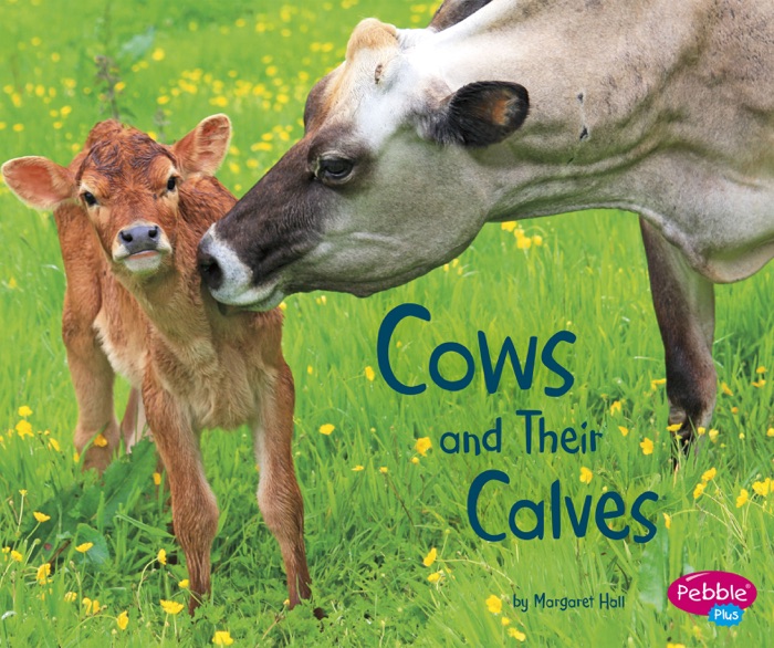 Cows and Their Calves