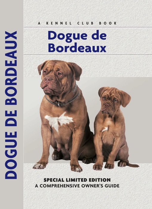 Dogue De Bordeaux