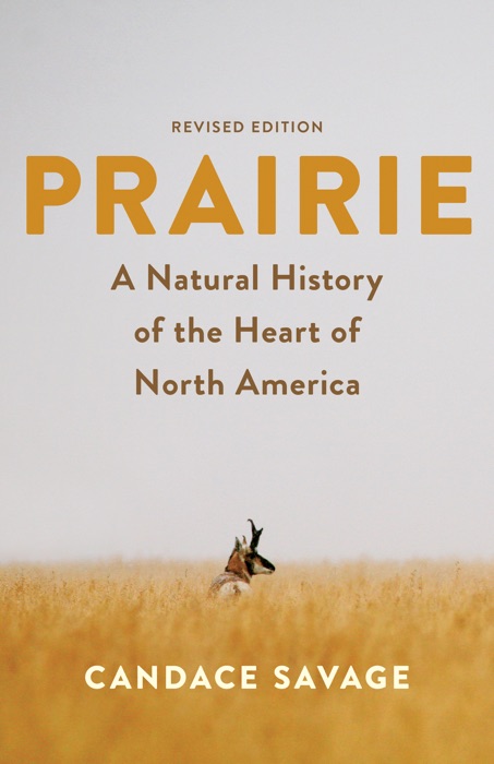 Prairie