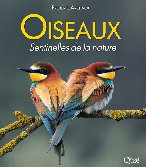 Oiseaux, sentinelles de la nature