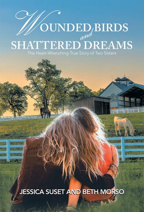 Wounded Birds and Shattered Dreams