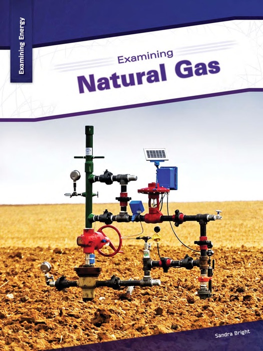 Examining Natural Gas