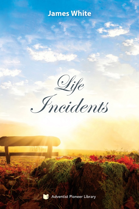 Life Incidents