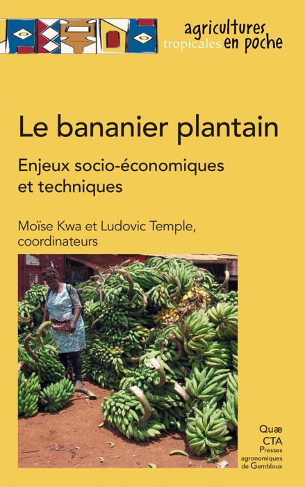 Le bananier plantain