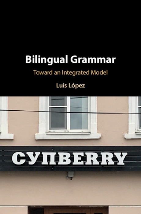 Bilingual Grammar