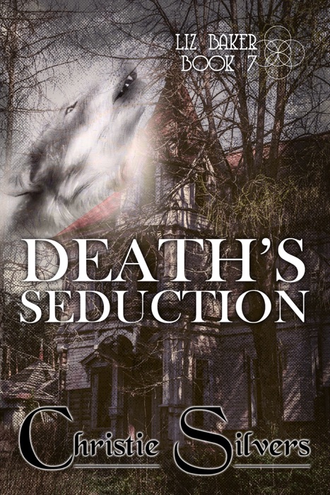 Death's Seduction (Liz Baker, Book 7)
