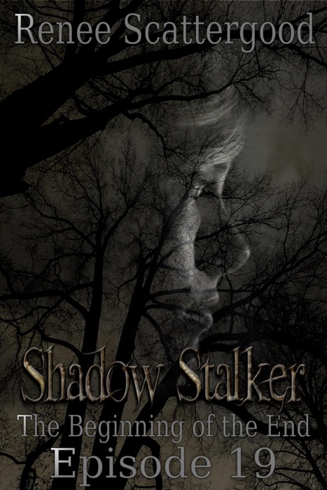 Shadow Stalker: The Beginning of the End (Episode 19)