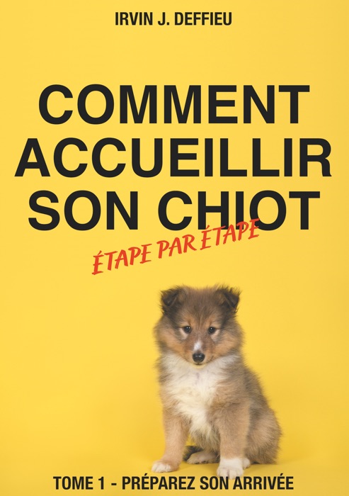 Comment accueillir son chiot étape par étape