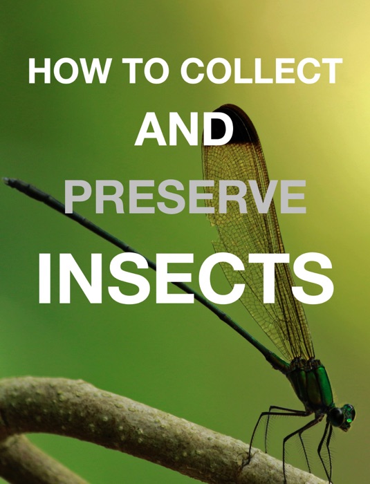 How to Collect and Preserve Insects