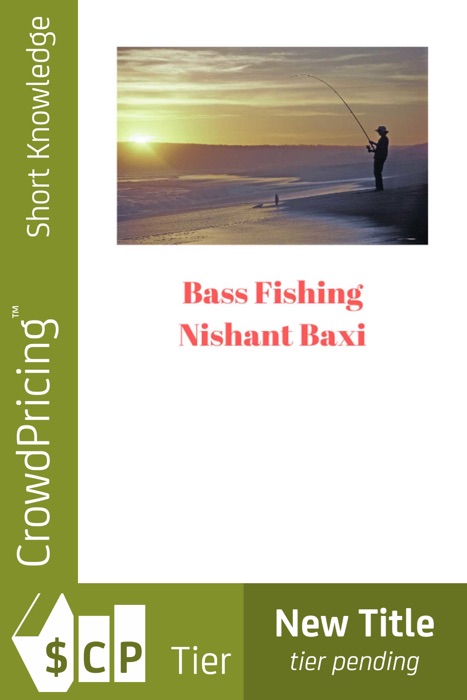 Bass Fishing
