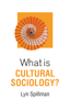 What is Cultural Sociology? - Lyn Spillman