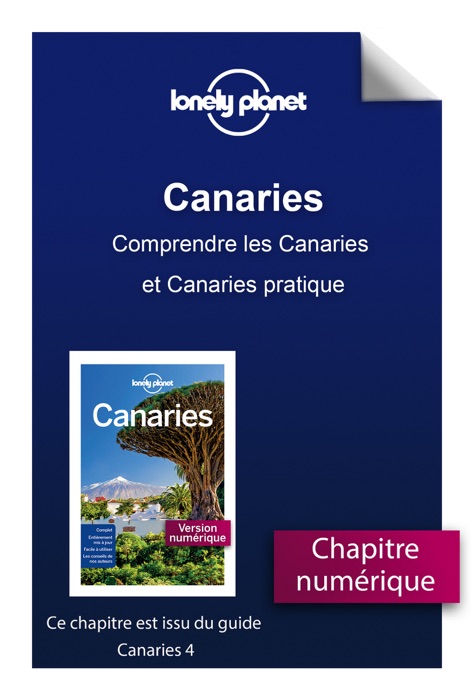 Canaries - Comprendre les Canaries et Canaries pratique