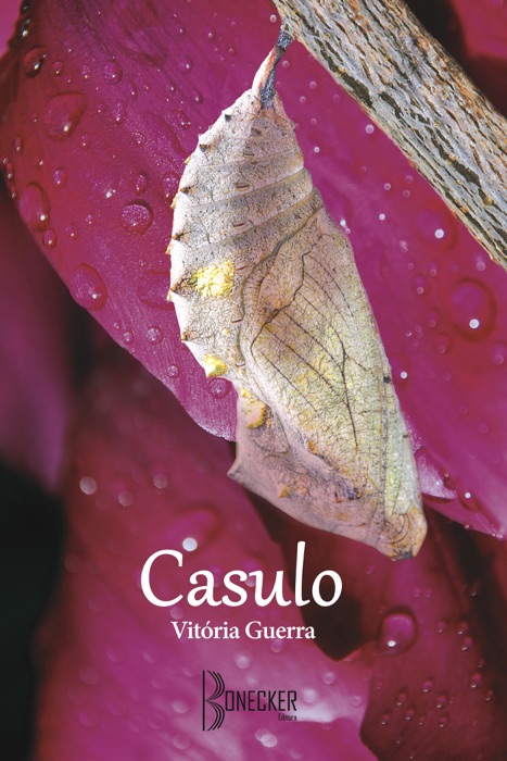 Casulo