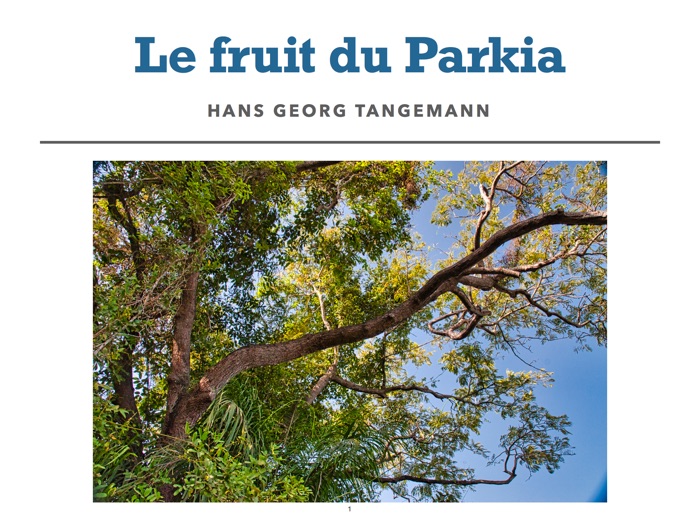 Le fruit du Parkia biglobosa