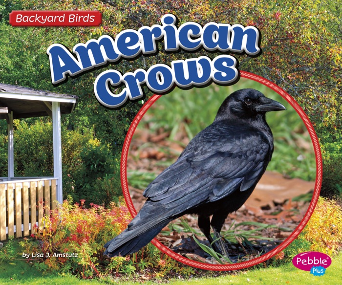 American Crows