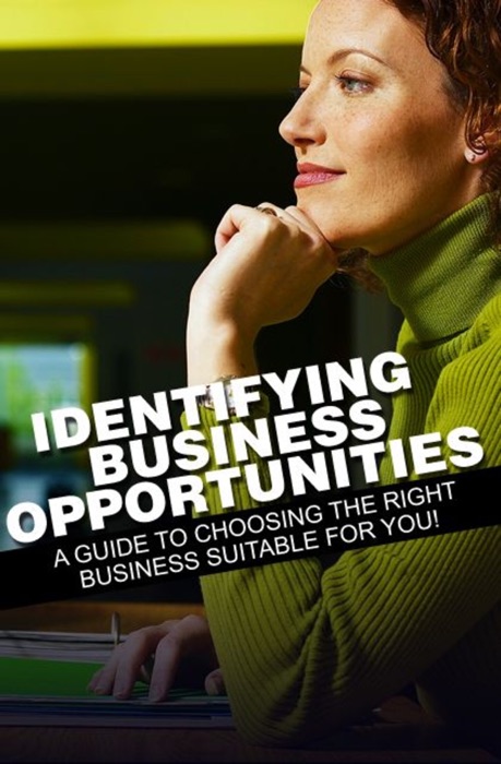 Identifying Business Opportunities