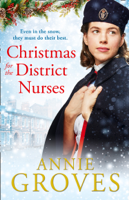 Annie Groves - Christmas for the District Nurses artwork
