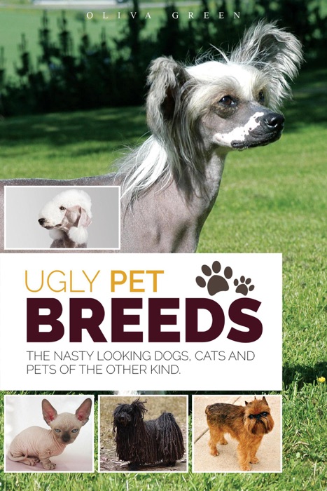 Ugly Pet Breeds: The Nasty Looking Dogs, Cats and Pets of the Other Kind