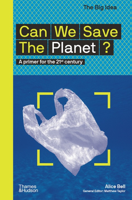 Can We Save the Planet?: A Primer for the 21st Century (The Big Idea Series)