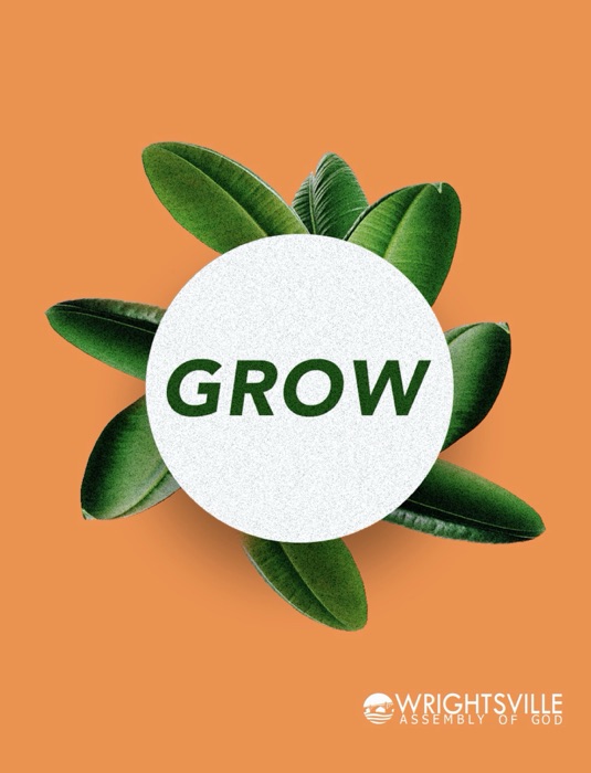 Grow - Next Steps