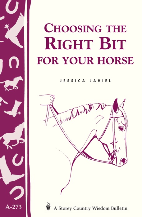 Choosing the Right Bit for Your Horse